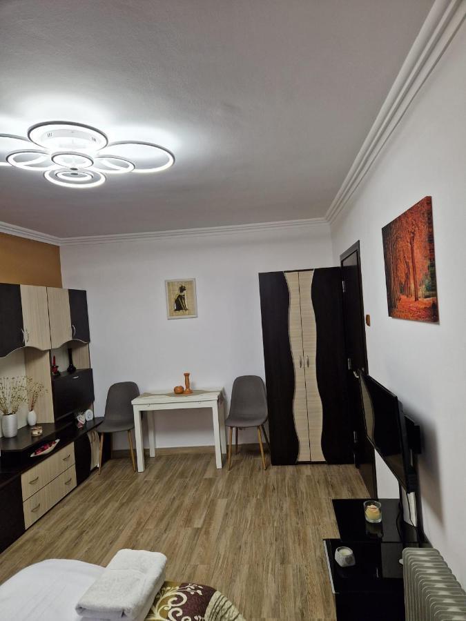Appartement Garsoniera à Băile Herculane Extérieur photo