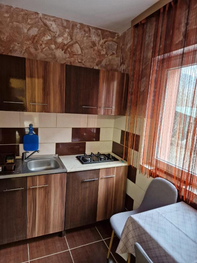 Appartement Garsoniera à Băile Herculane Extérieur photo